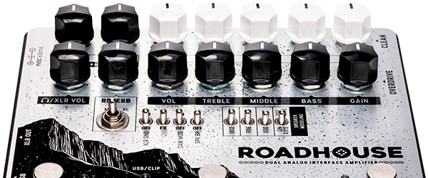 Thermion Roadhouse - Dual Analog Interface Amplifier